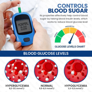 FLYCARE™ Blood Sugar Control Patch