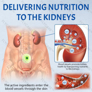 FLYCARE™ NephroFlex Kidney Boost Patch