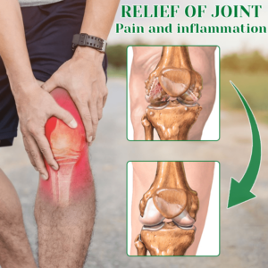 Ceoerty™ Wormwood Knee Pain Relief Patch