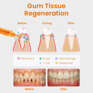 Lovilds™ Gum Repair Treatment Ampoules