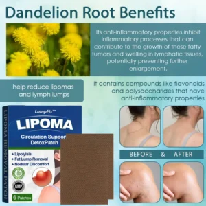 LumpFix™ Circulation Support DetoxPatch