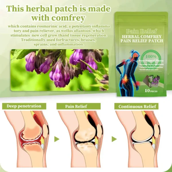 Traditional Secret Formula Organic Herbal Patch